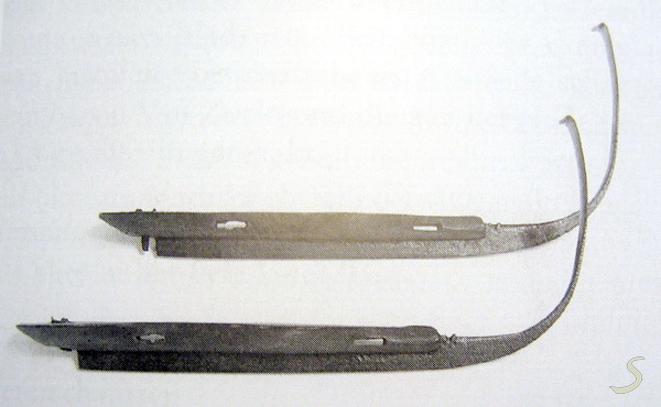 krulschaats bergambachts model