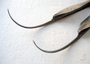 koppen bergambachts model